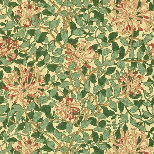 Honeysuckle