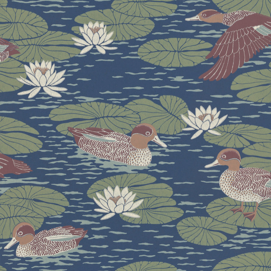 Duck Pond