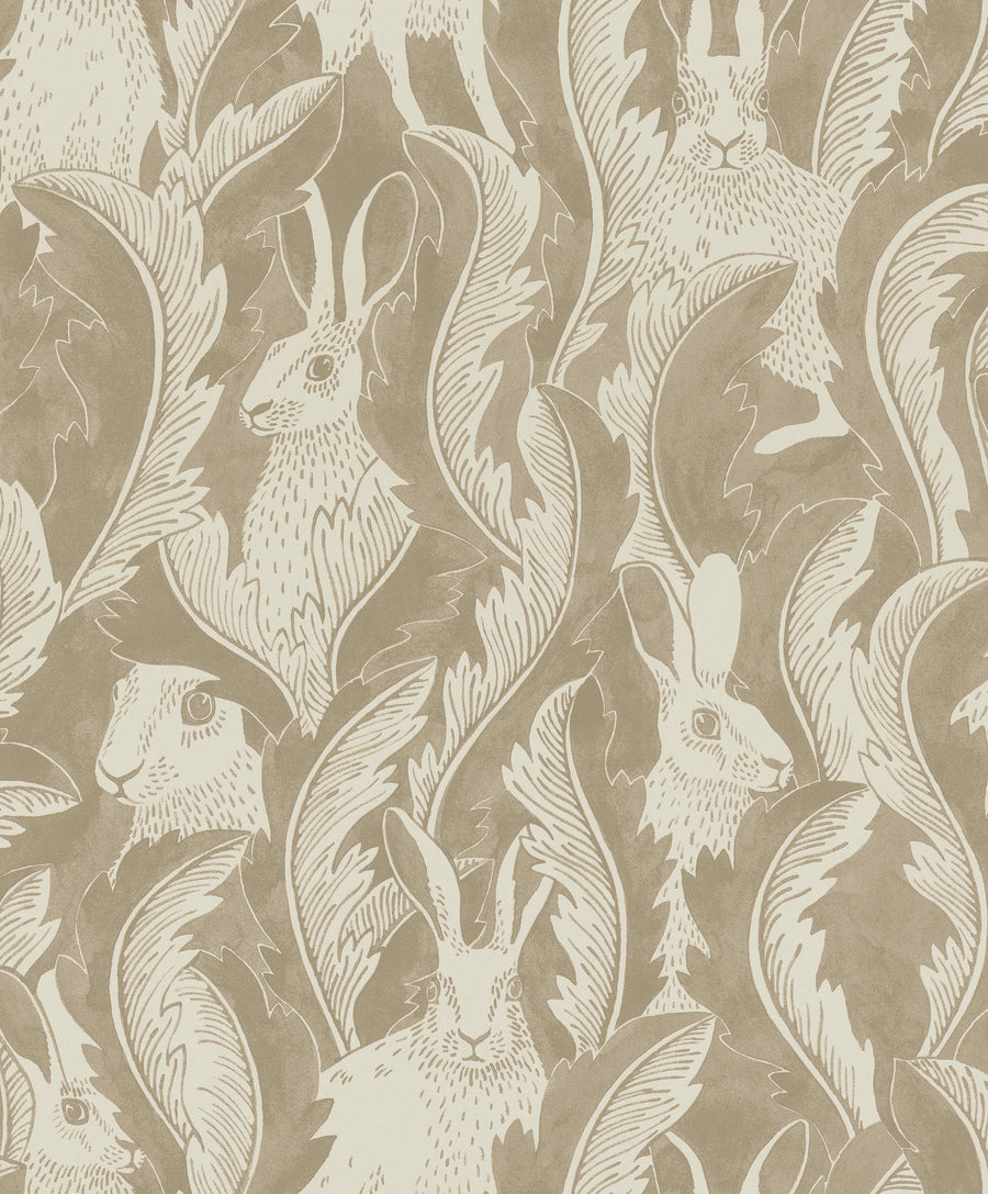 Hares In Hiding