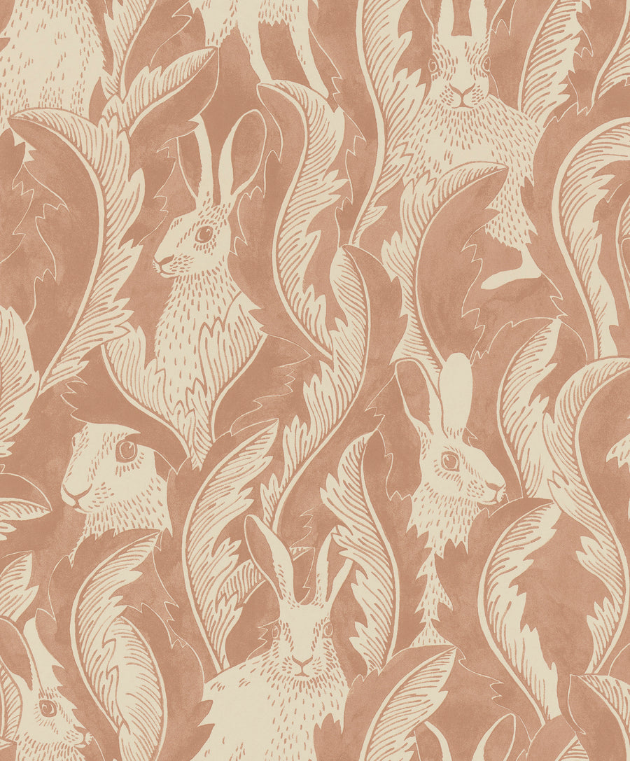 Hares In Hiding