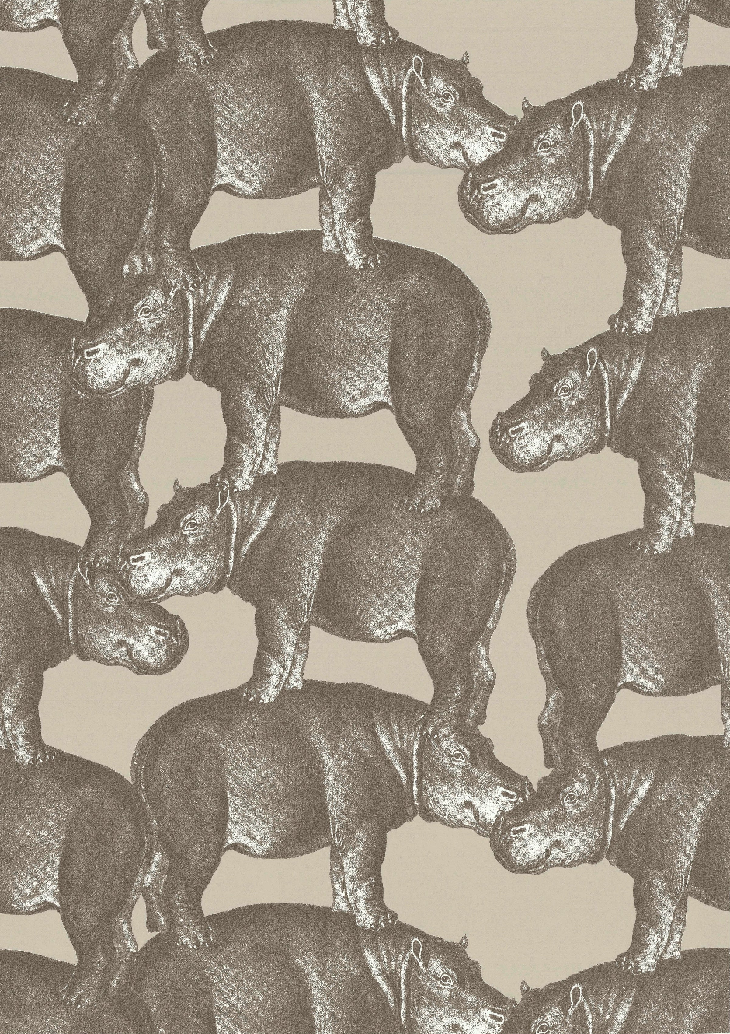 Hippo