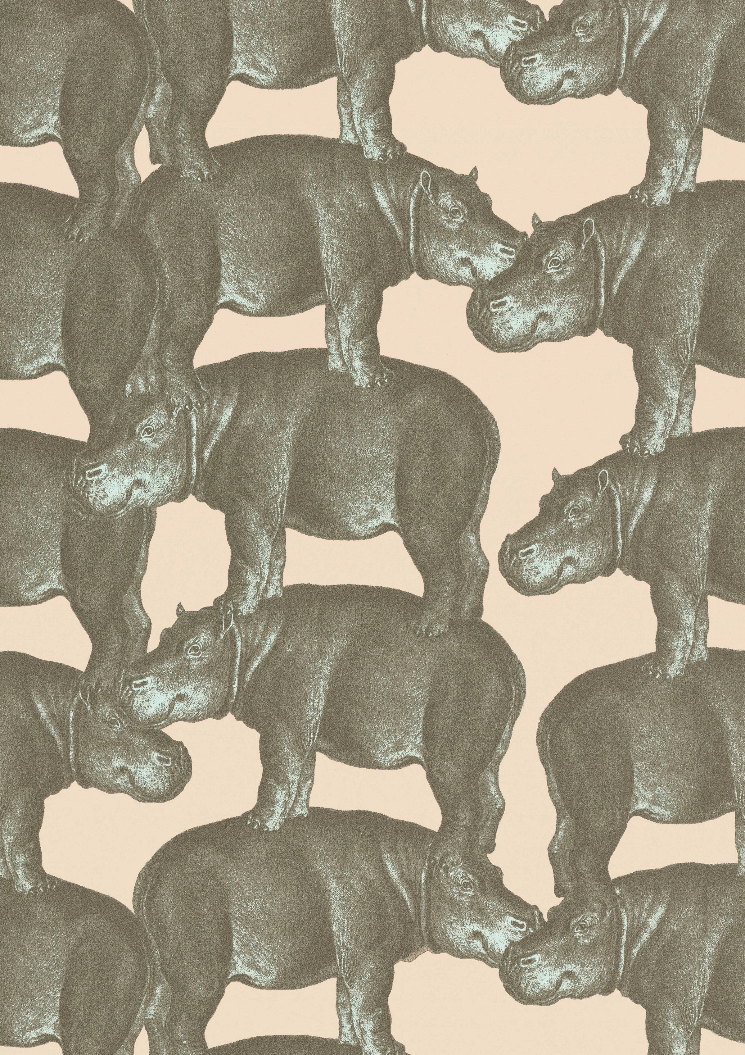 Hippo