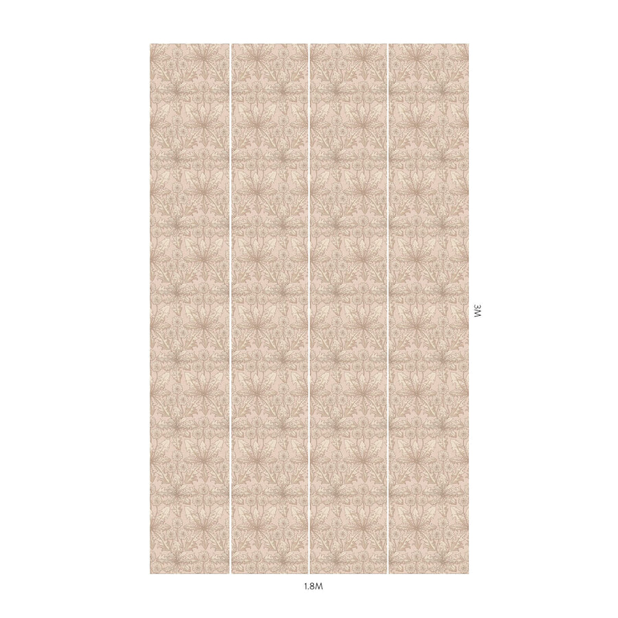 TARAXA: Phlox