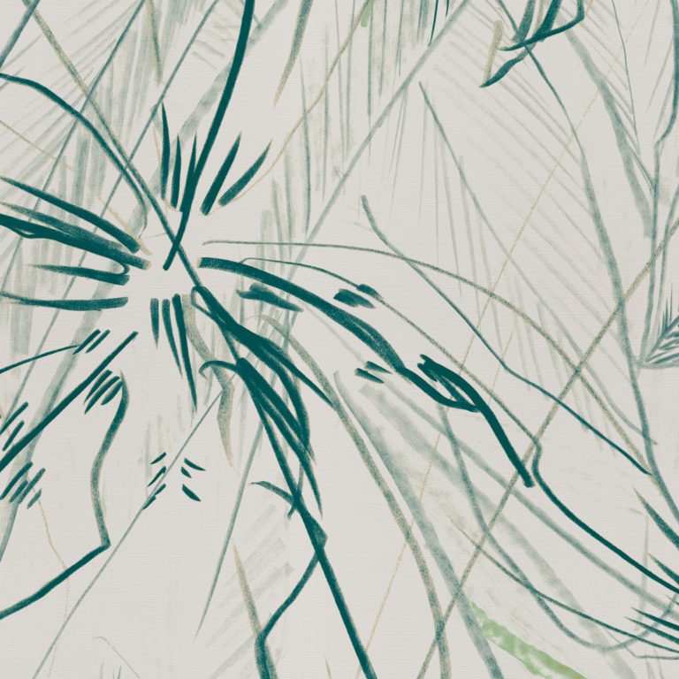Wilds