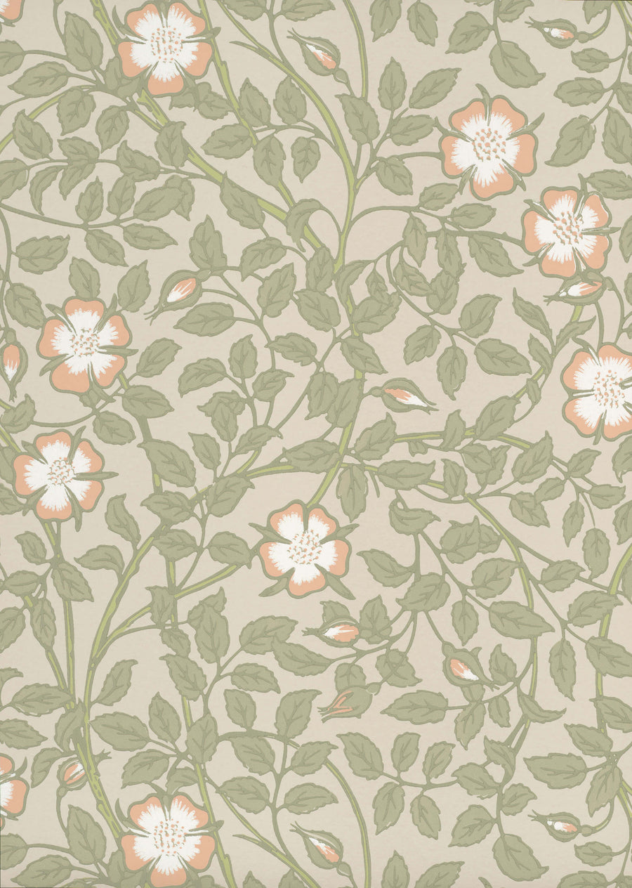 Briar Rose