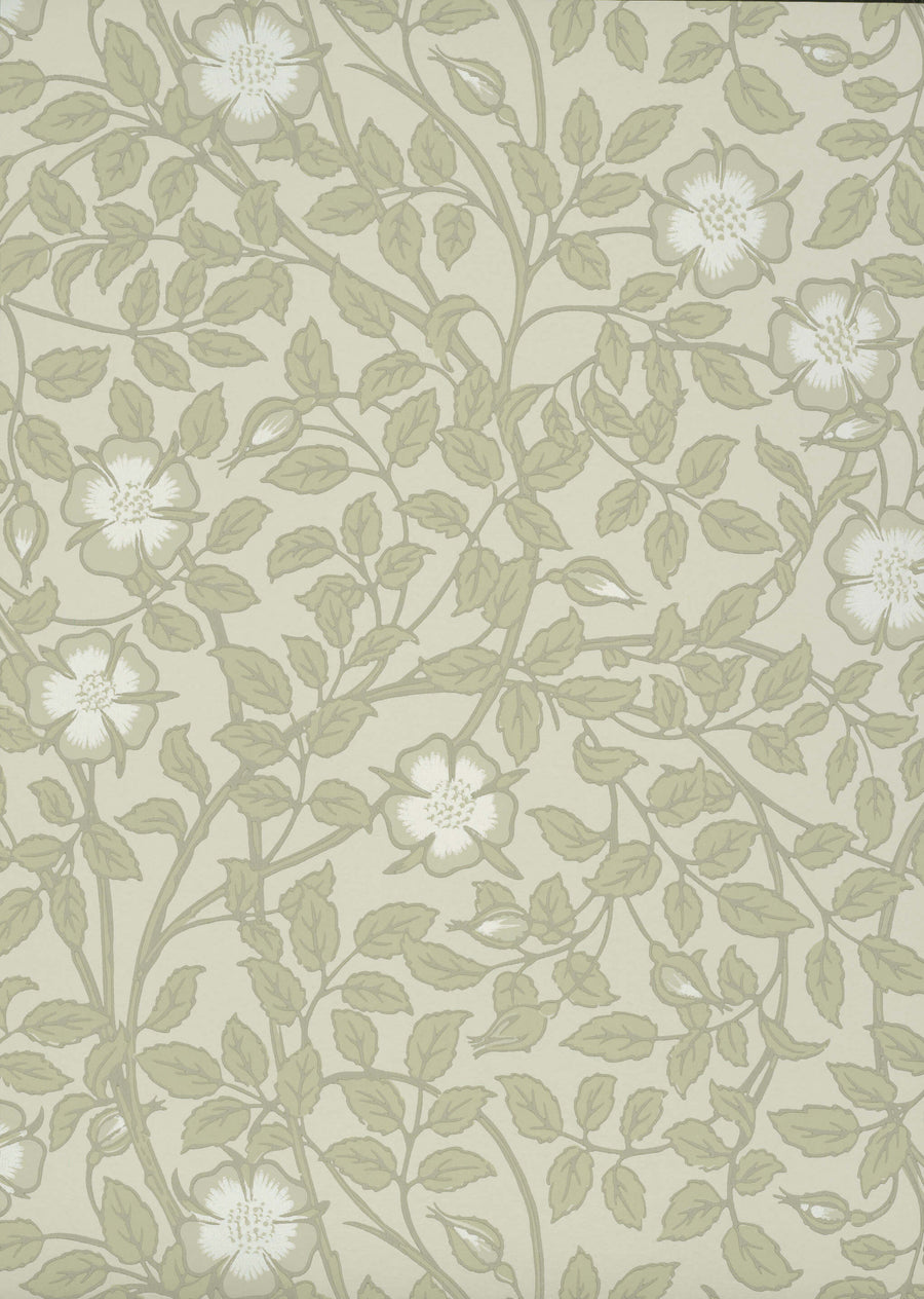 Briar Rose