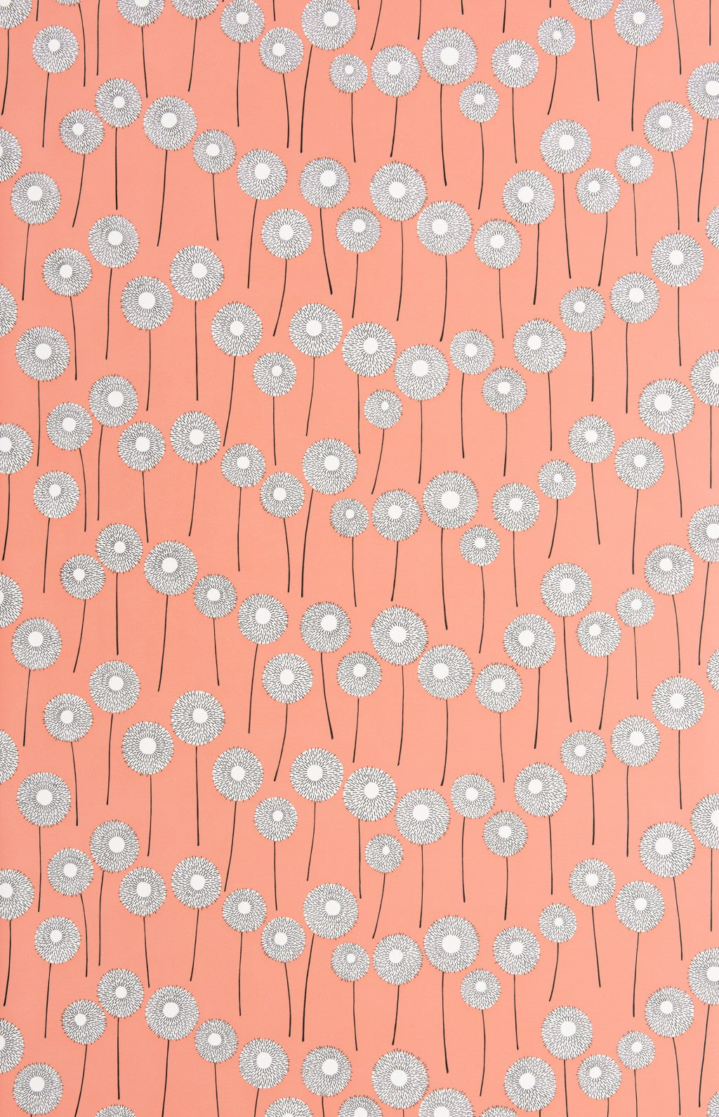Meadow