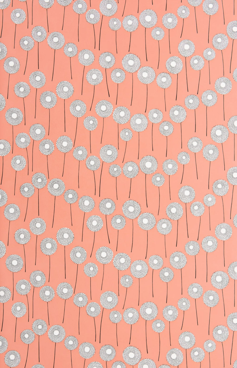 Meadow