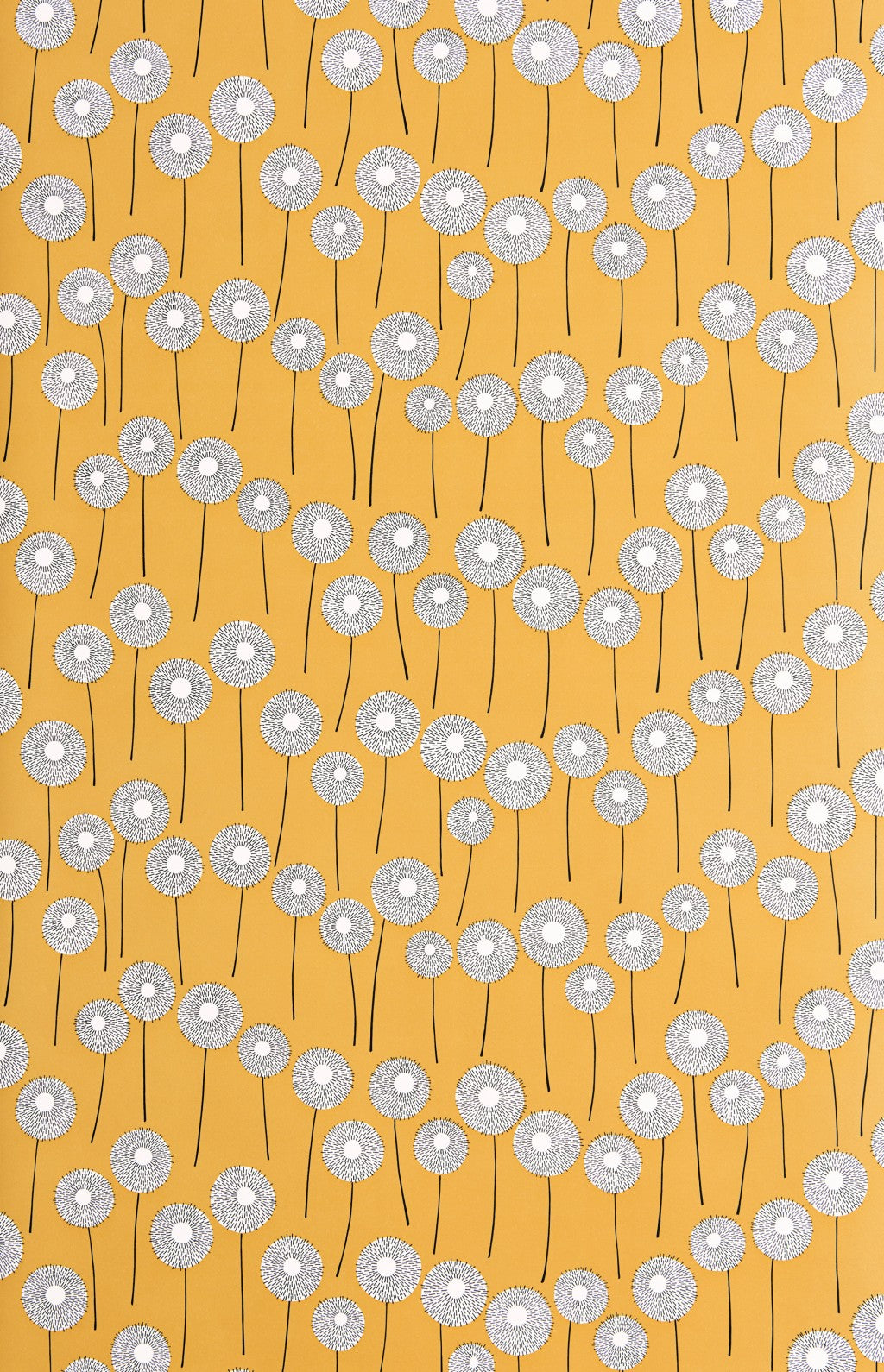 Meadow