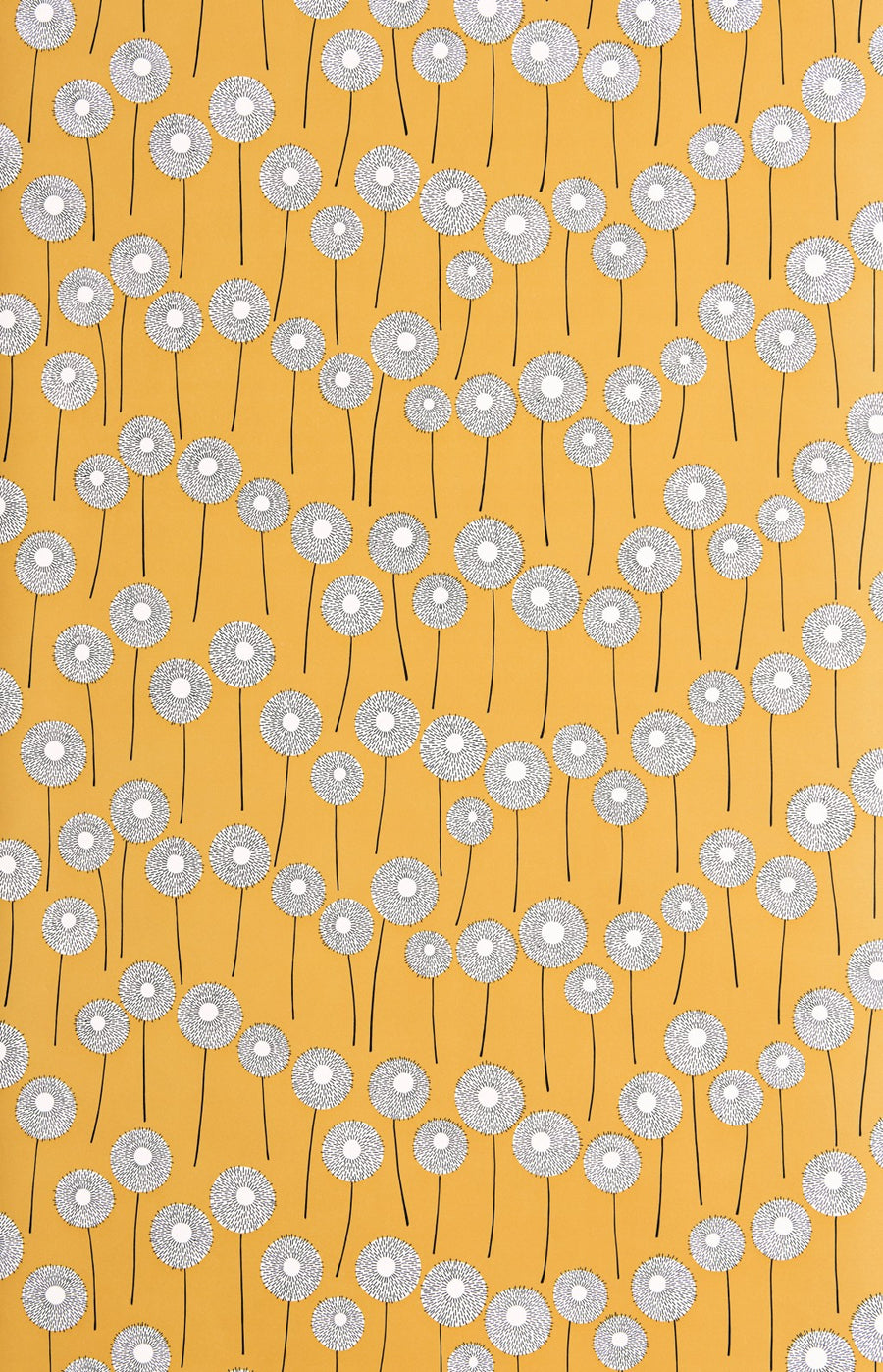 Meadow