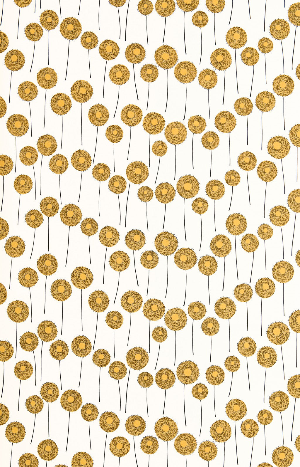 L_1633_45844a6e6a5f0a621b5af75179e254ea.jpg