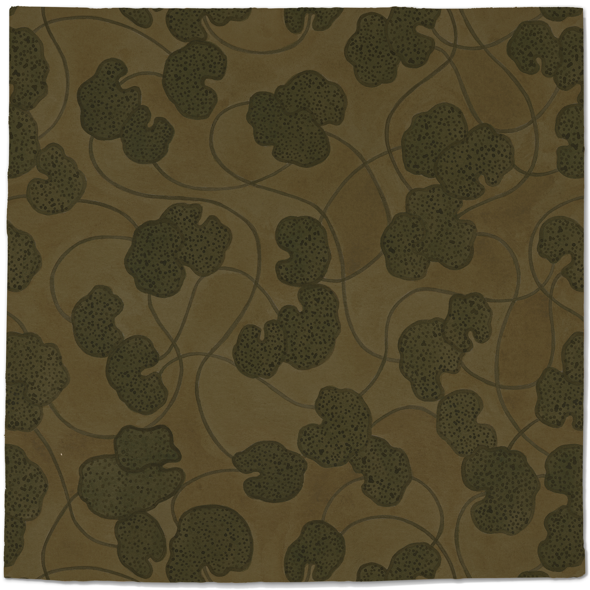 Lilypad