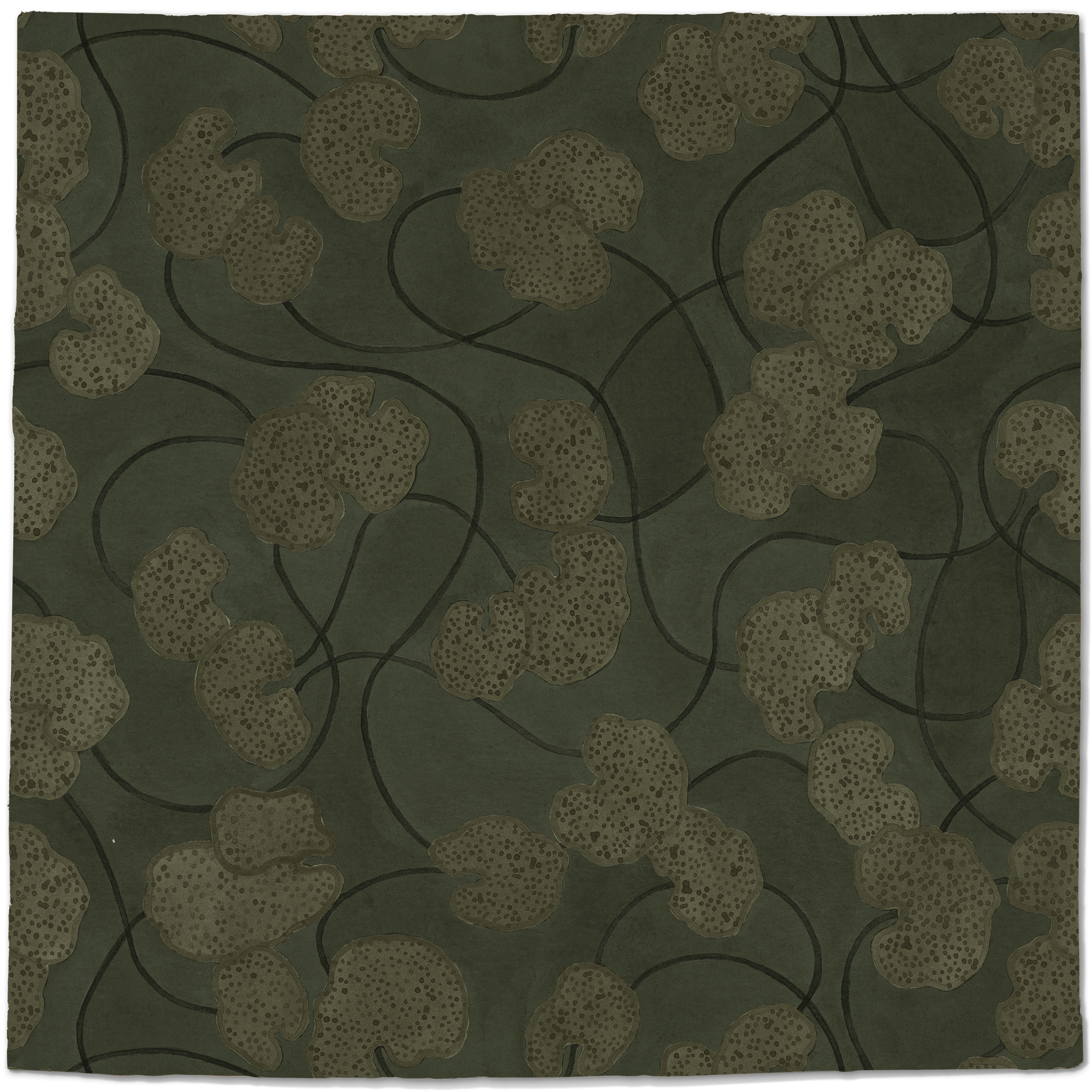 Lilypad