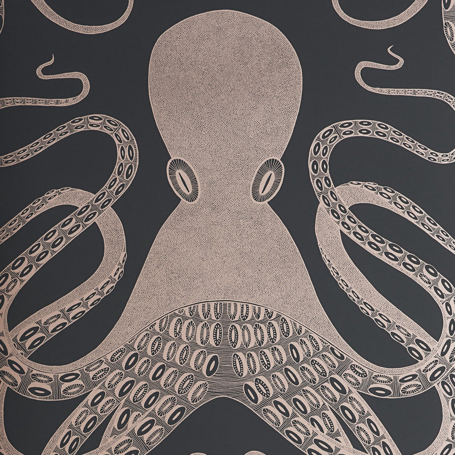 Octopus