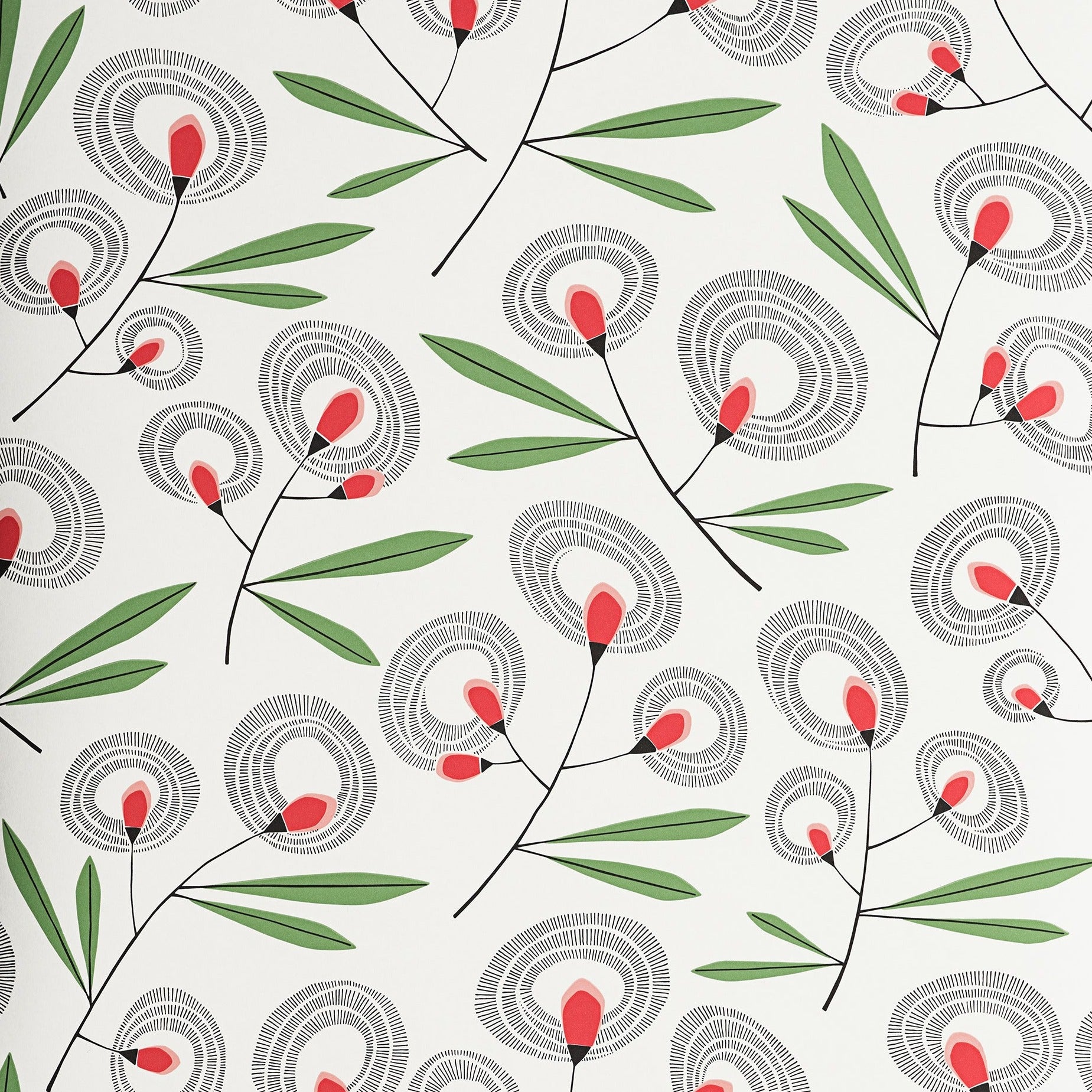 MISP1387_halo-flower_redberry.jpg