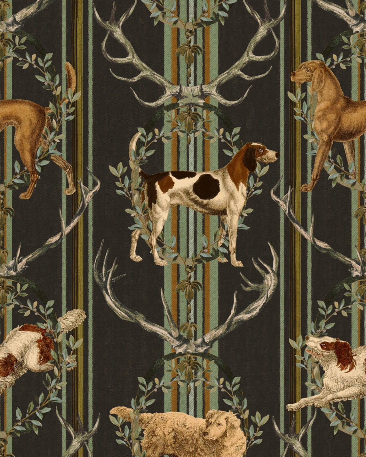 Mountain Dogs