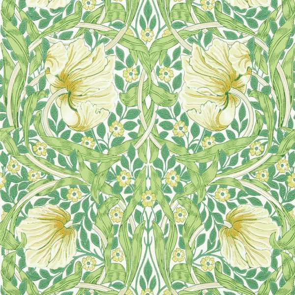Pimpernel