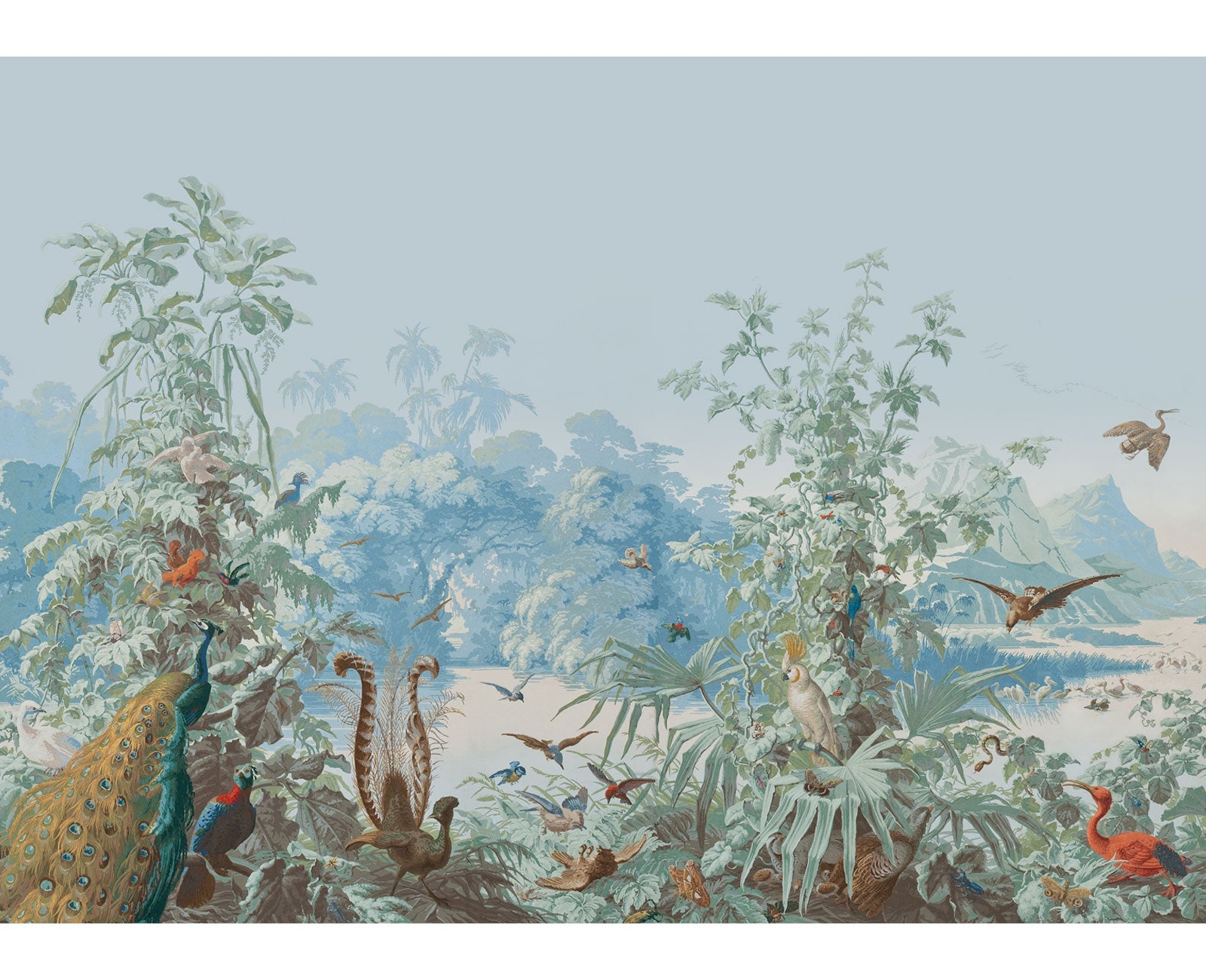 PANO-BRES-POLY.jpg