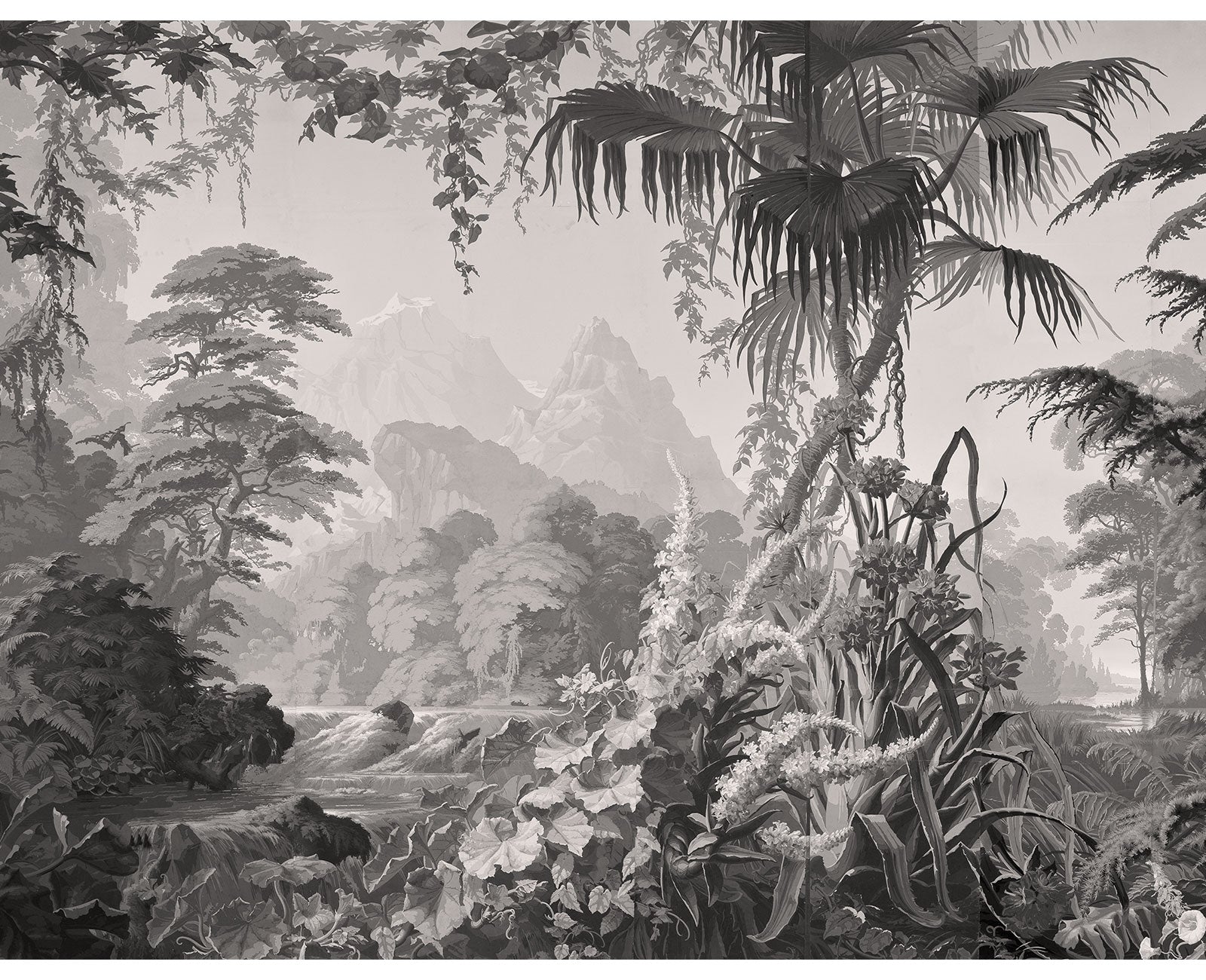 PANO-EDEN-MONO.jpg