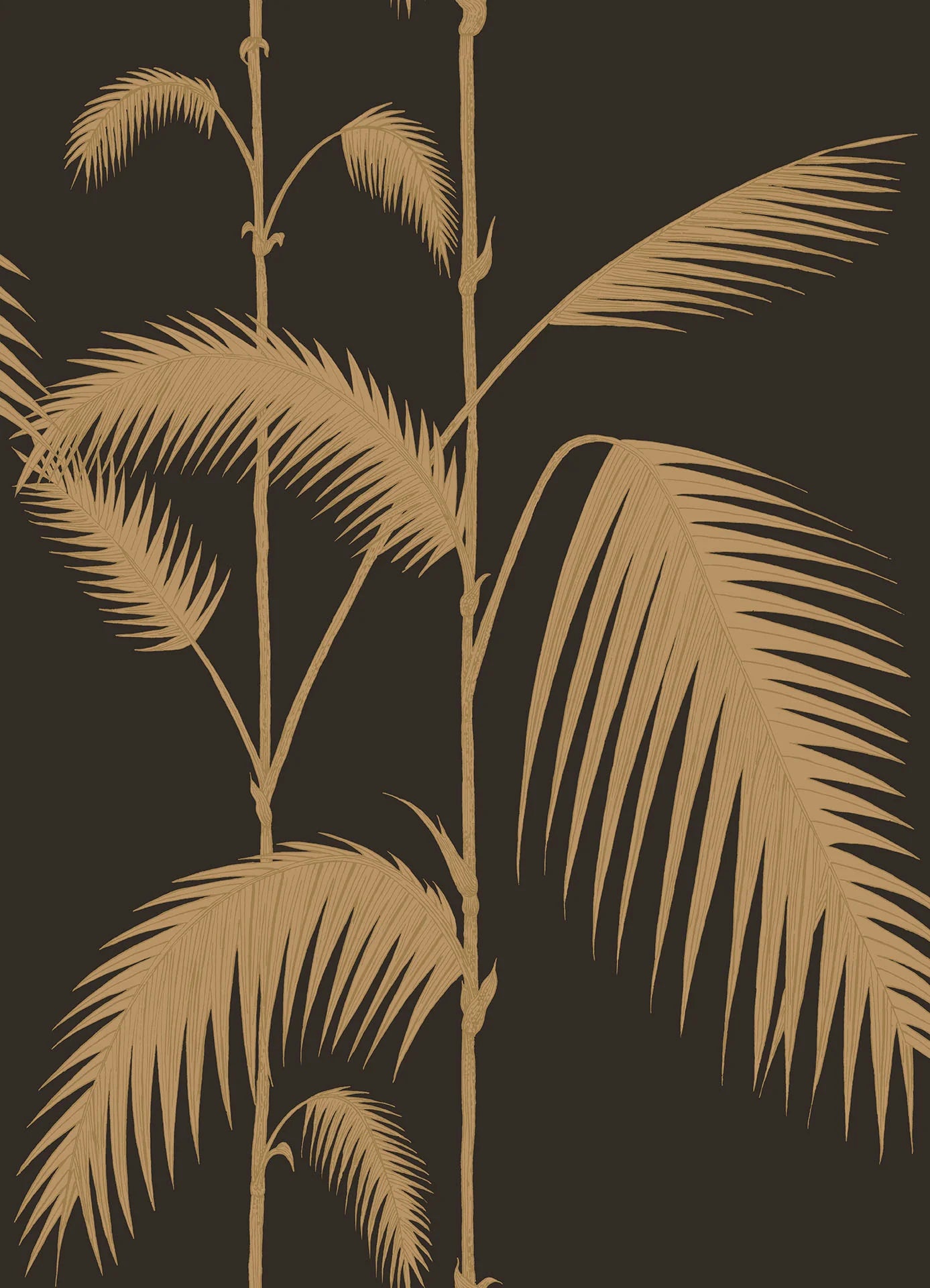 Palm Leaves