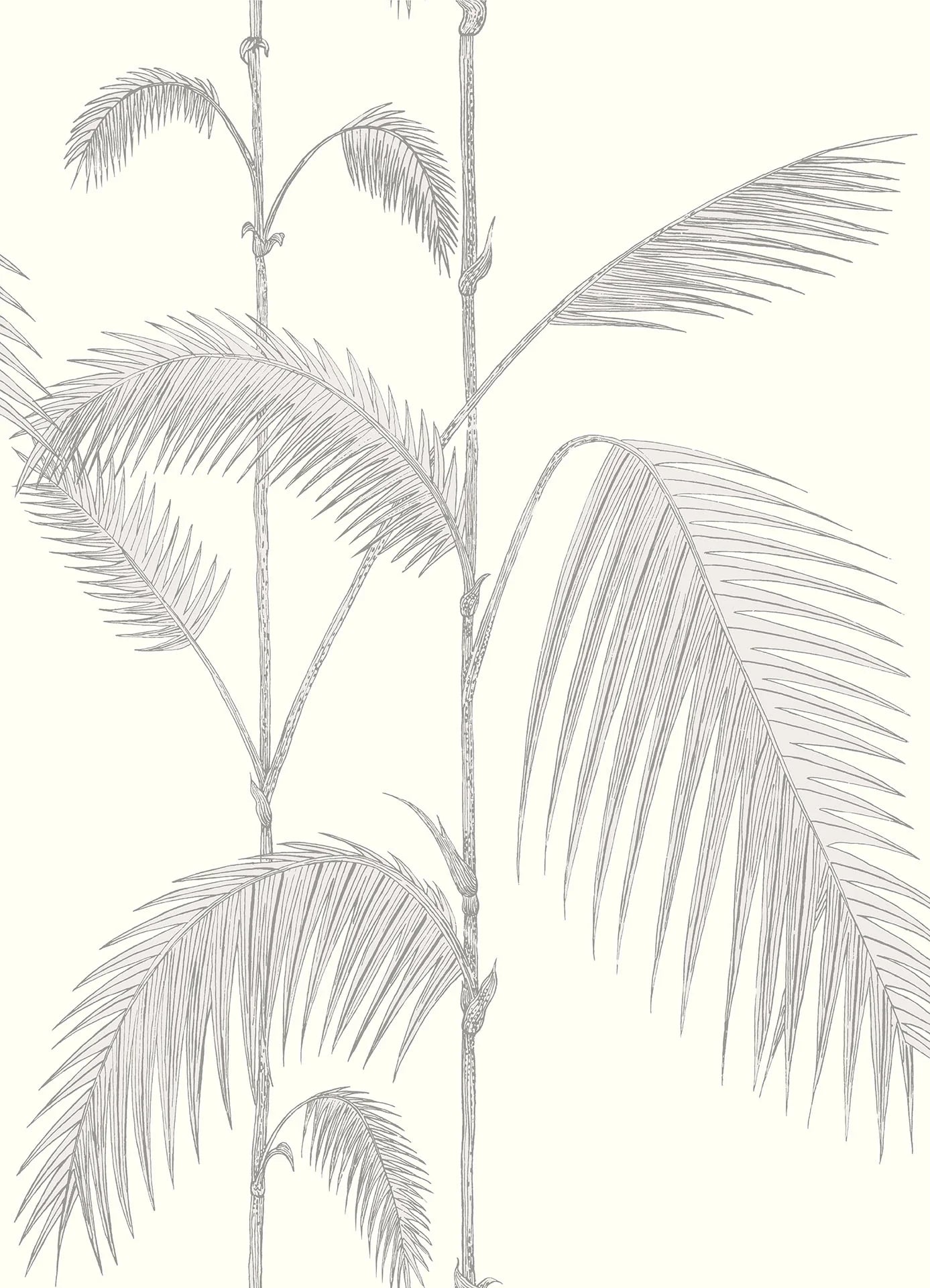 Palm Leaves