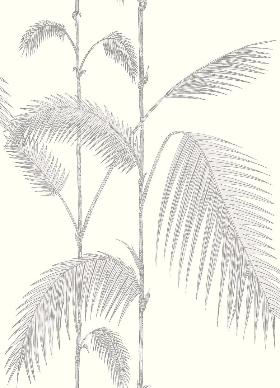 Palm Leaves
