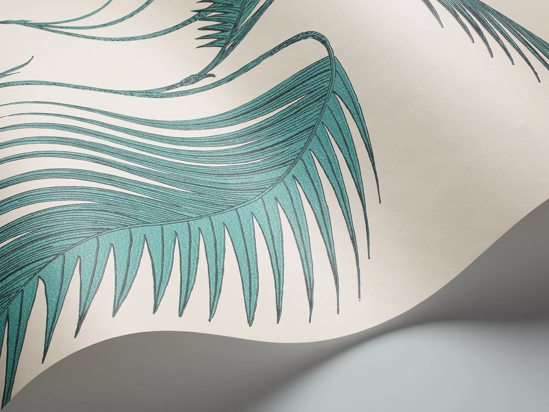 Palm Leaves