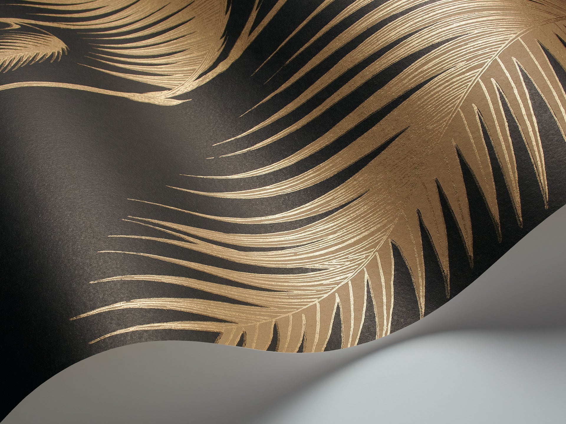 Palm Leaves