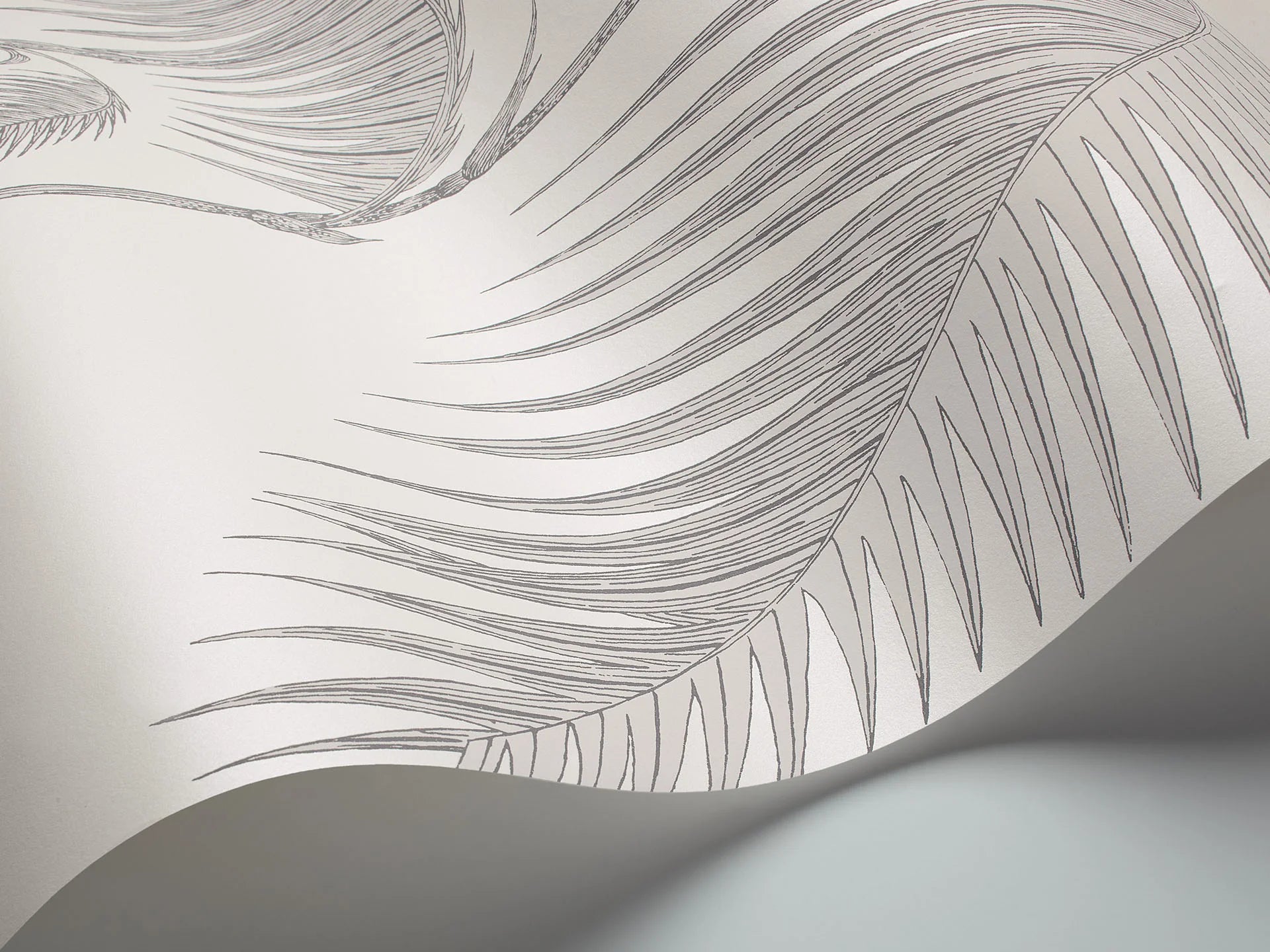 Palm Leaves