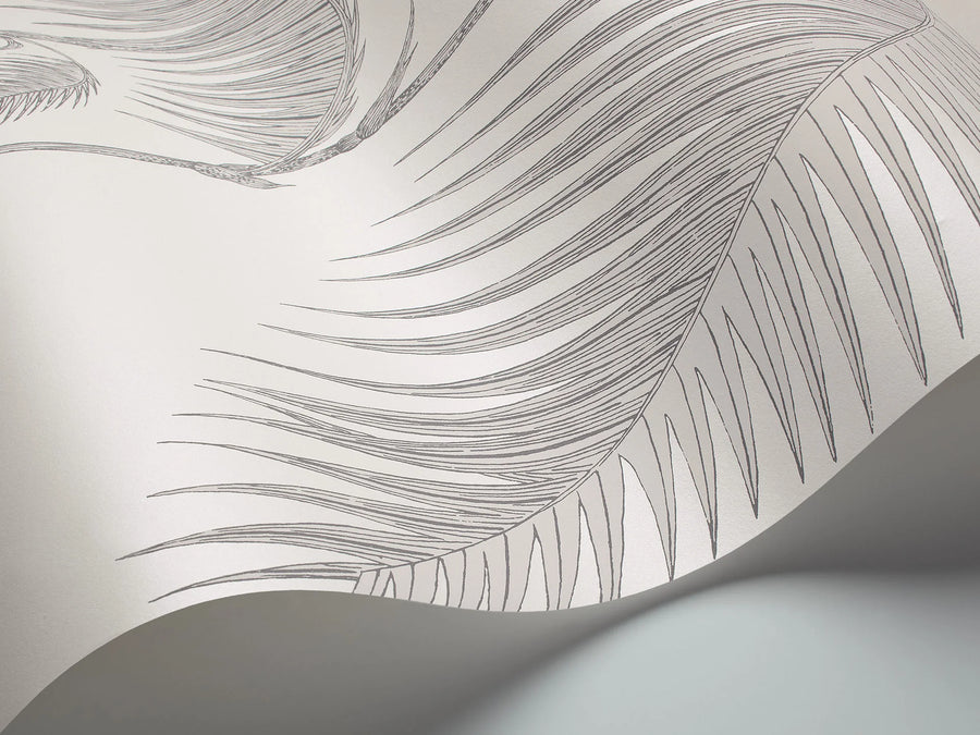 Palm Leaves