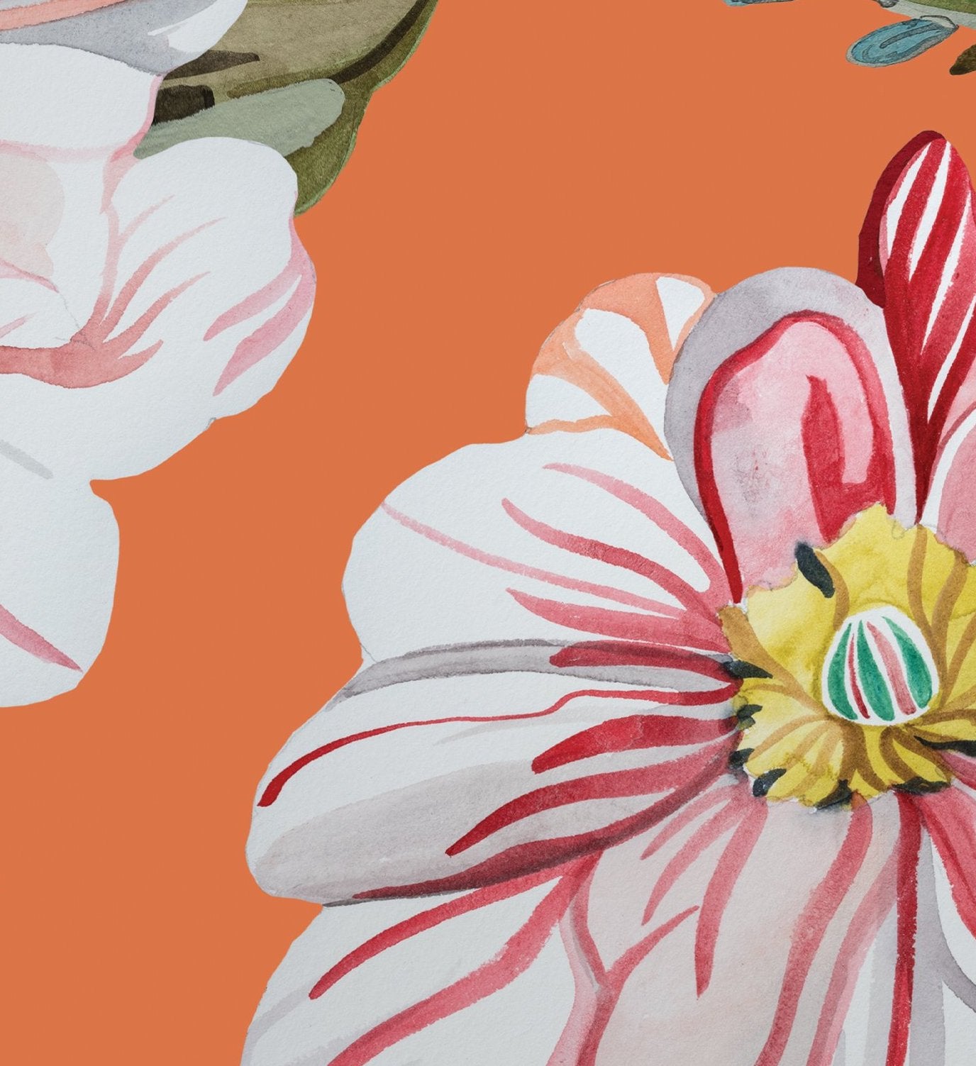 Petite-Camellias-Persimmon-Detail-Web.jpg