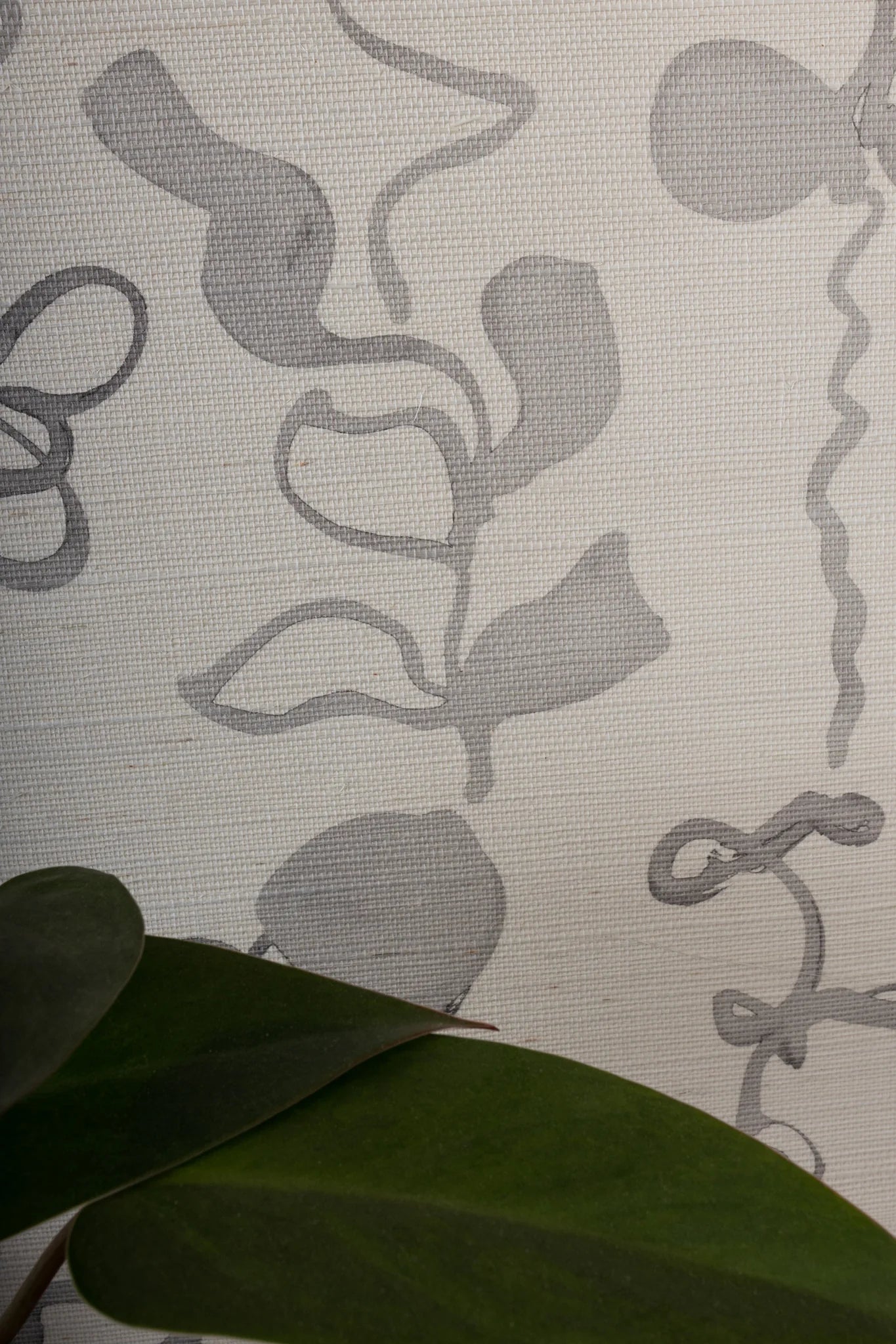 Gris