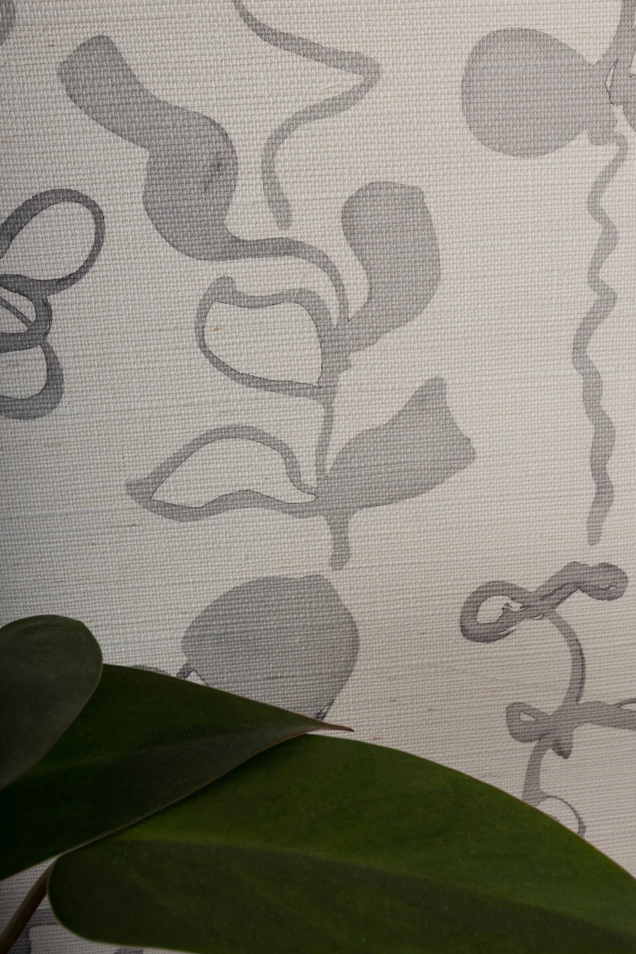 Gris