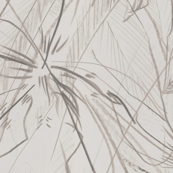 Wilds