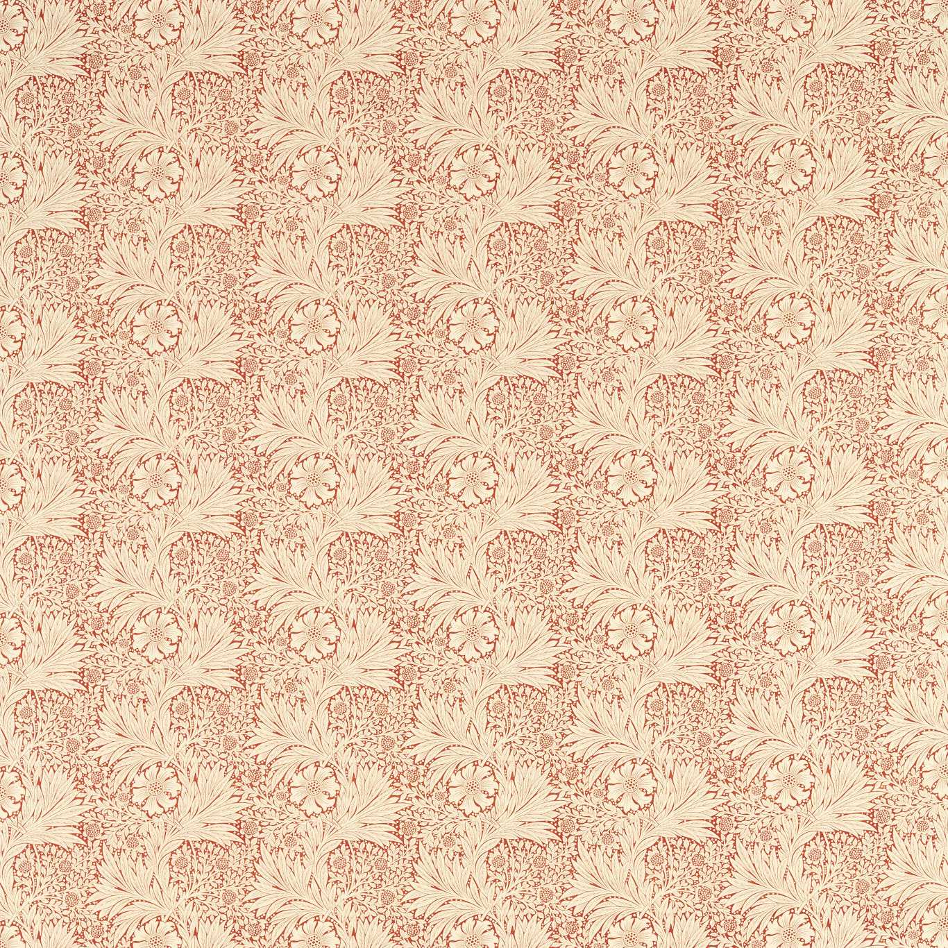 Russet