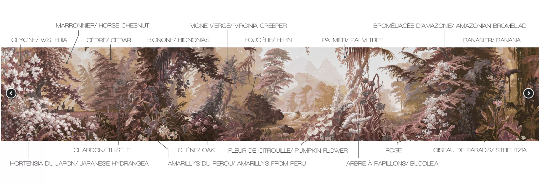 Eden Mural