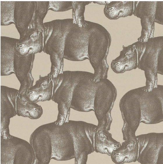 Hippo