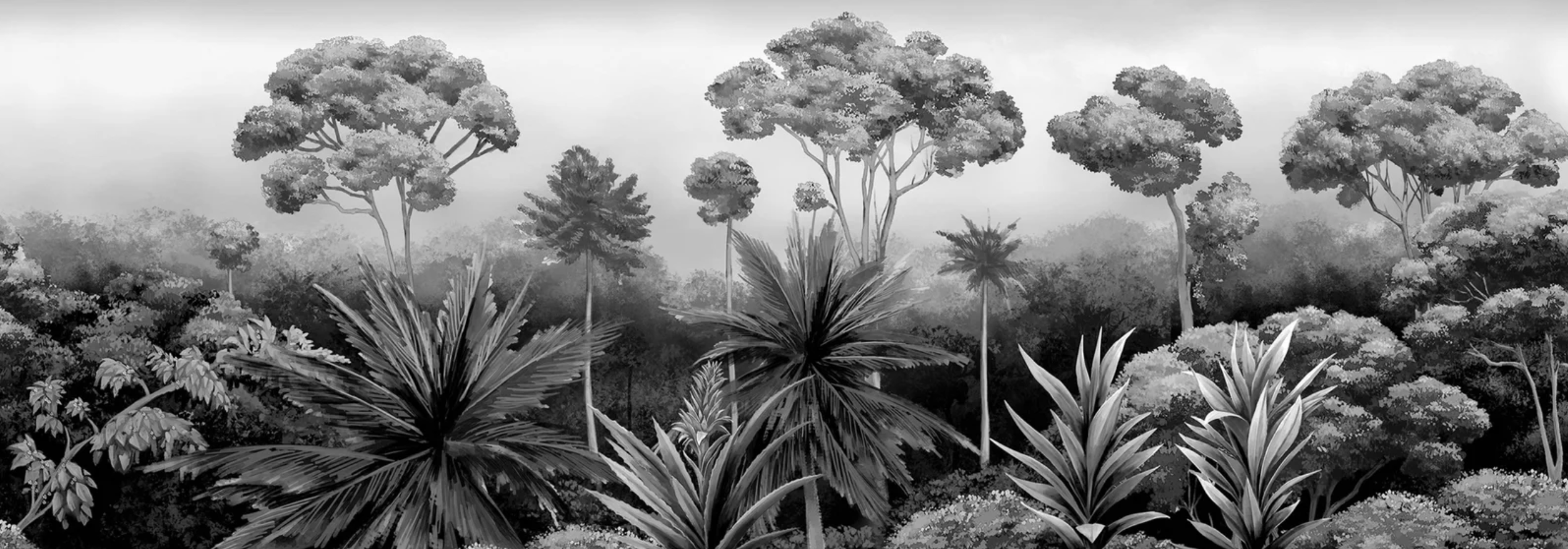 Sofia Willemoes: Amazonia in Black & White