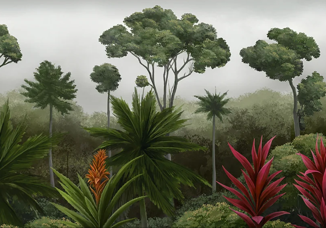 Sofia Willemoes: Amazonia in Amazonia