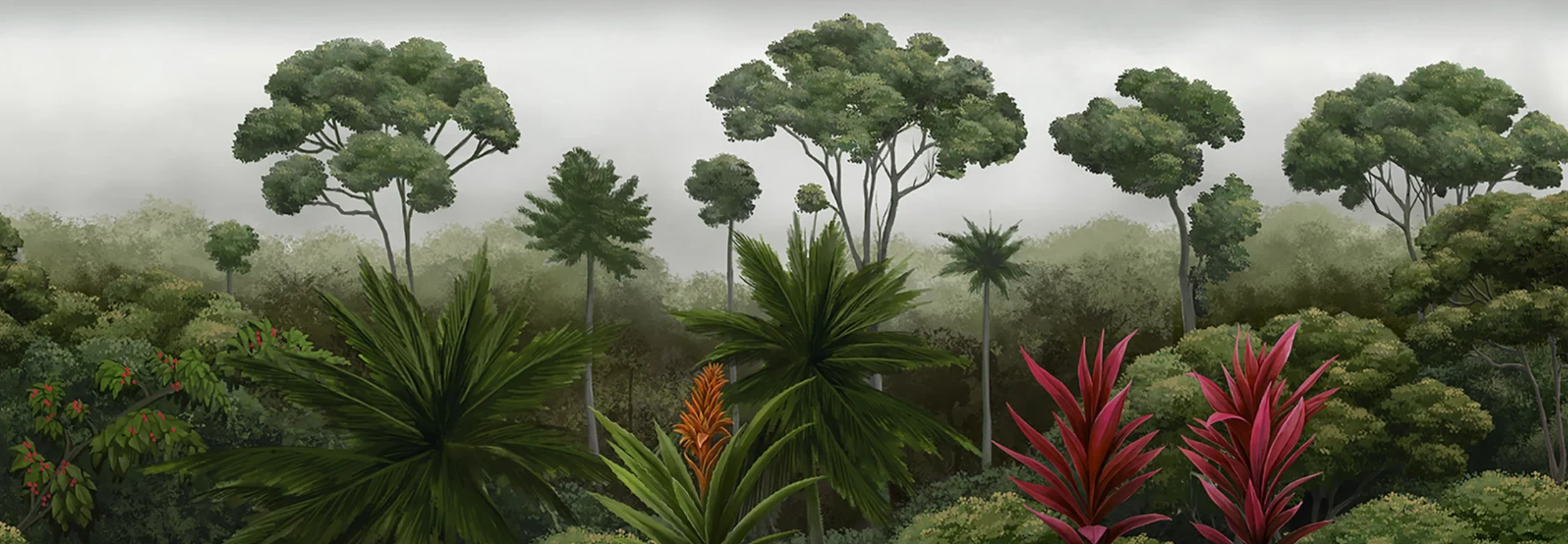 Sofia Willemoes: Amazonia in Amazonia