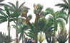 Sofia Willemoes: Palm Springs