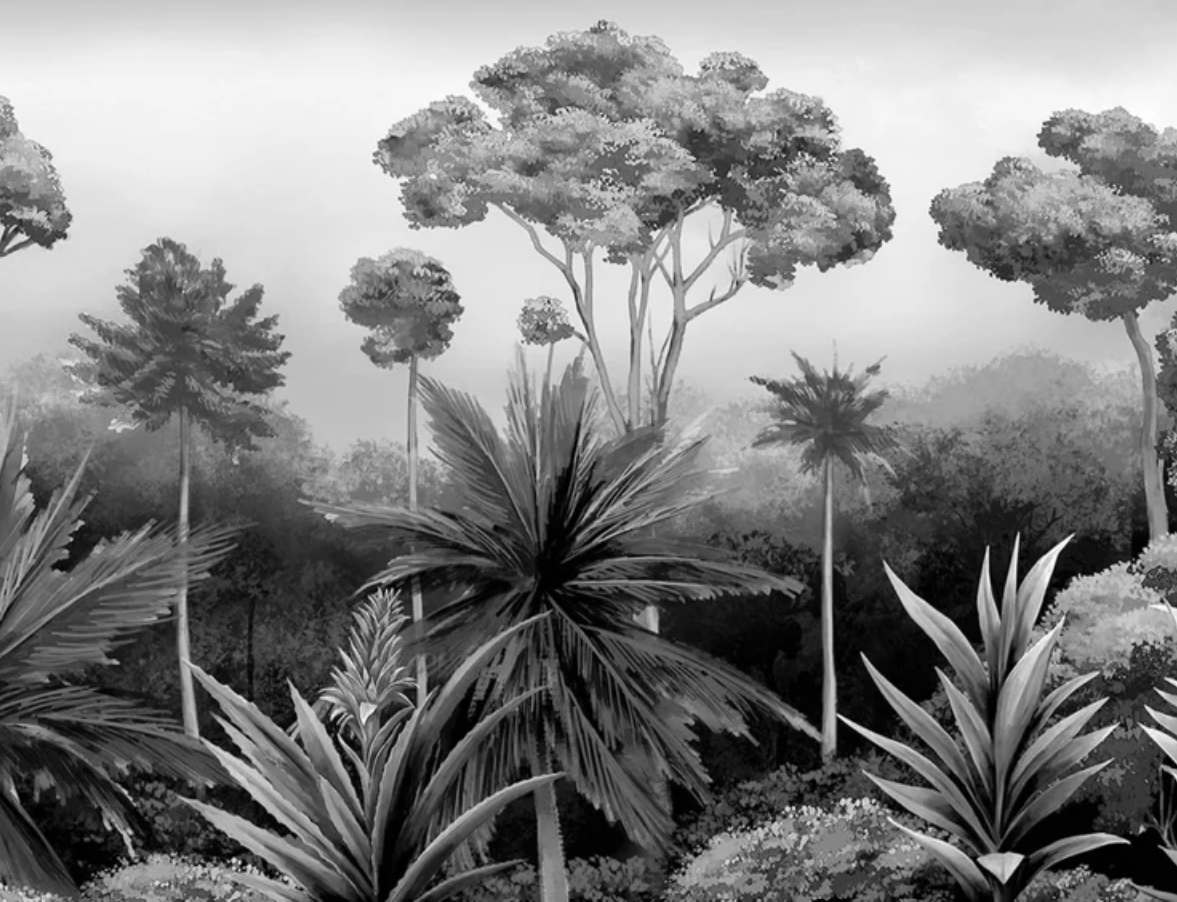 Sofia Willemoes: Amazonia in Black & White