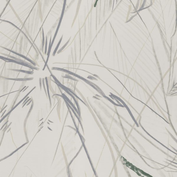 Wilds