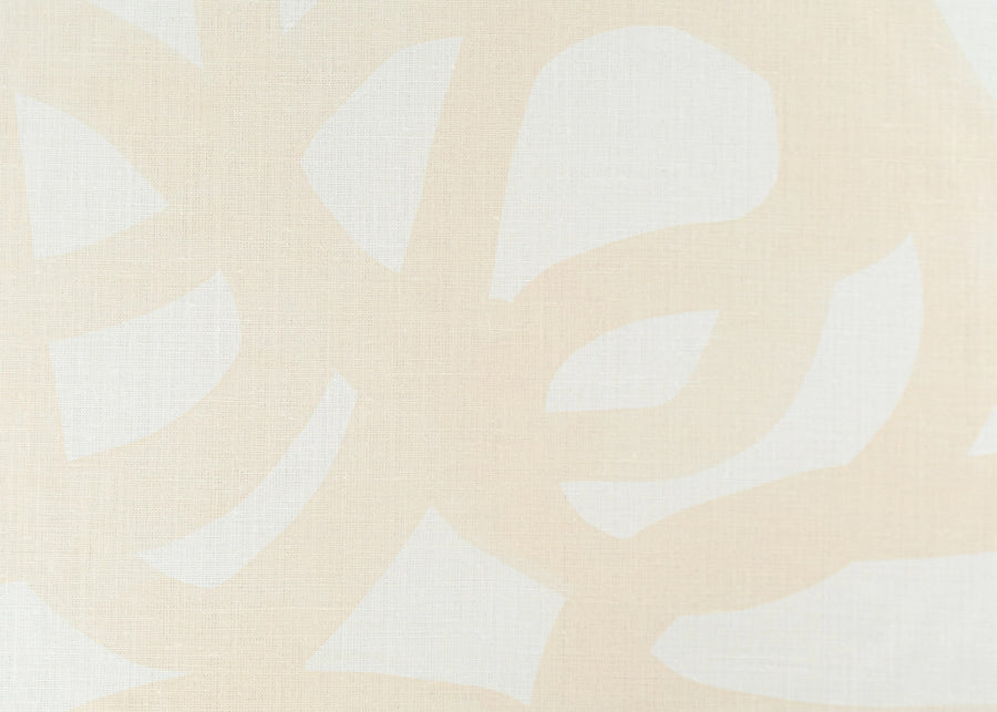 White Tea on White