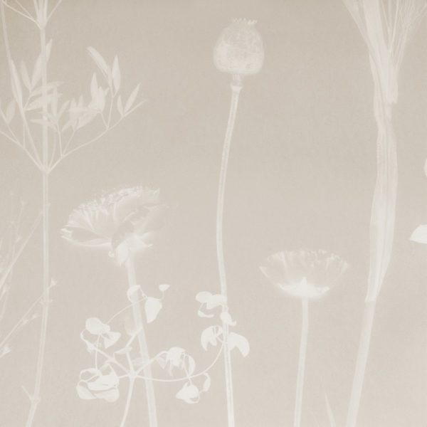 Flora