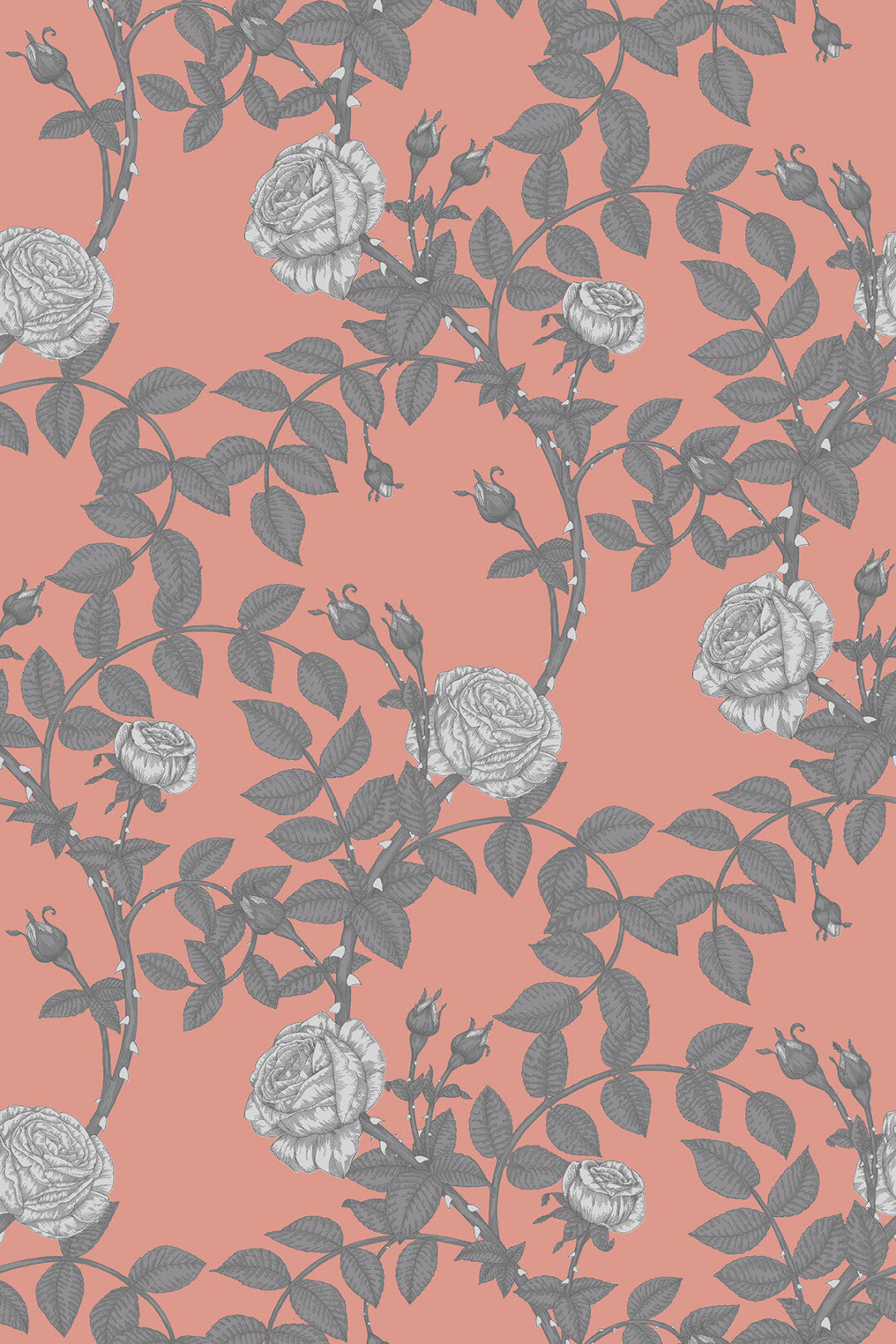McGegan Rose Greys on Blush