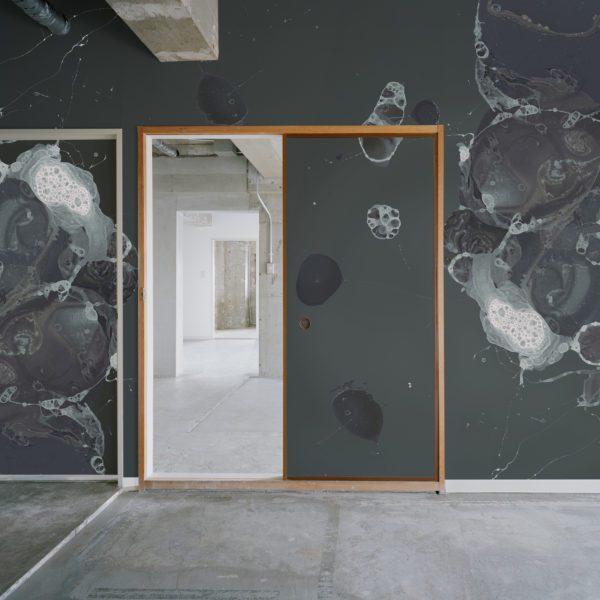 Umbra_Microcosmos-600x600.jpg