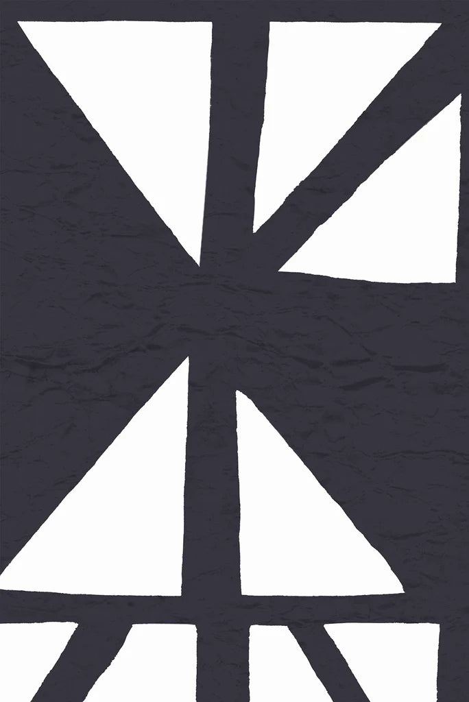 Geo-graphic on Vinyl