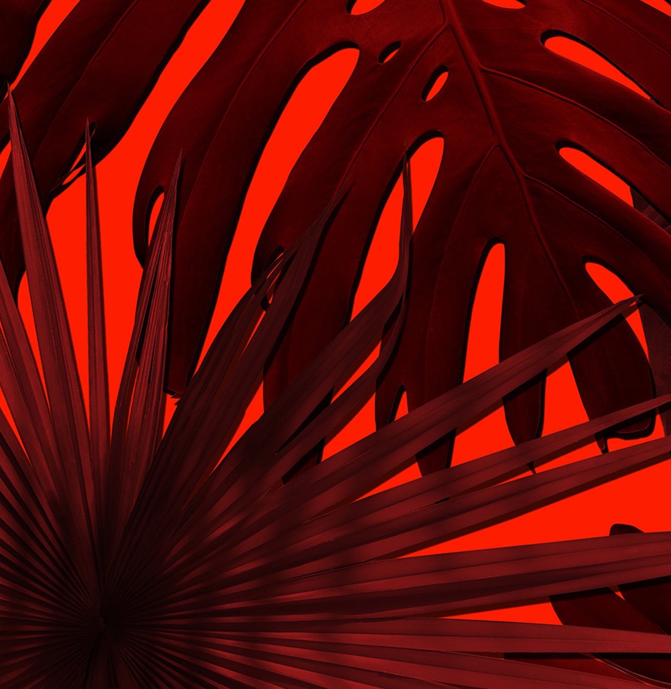 Wild-Thing-Red-Web-Detail.jpg