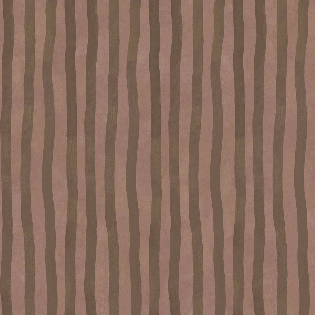 Artist's Stripe Cosmos Bark